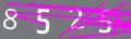 capsa